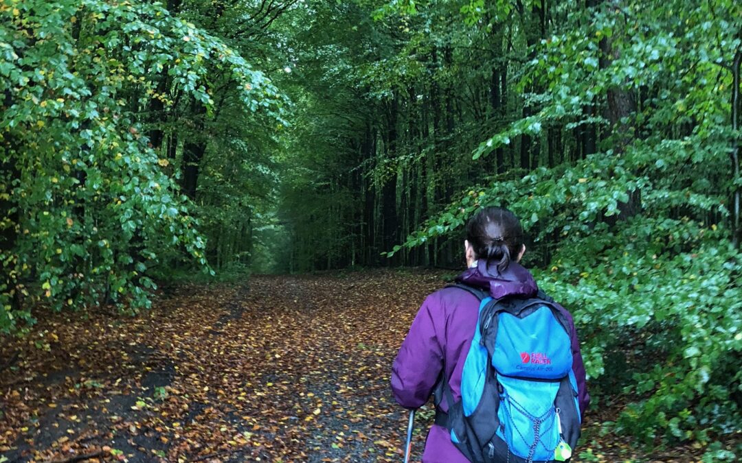 Wandelen met beginnende artrose