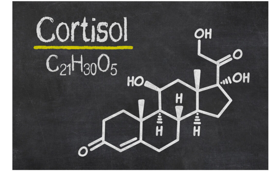 De waarheid over Cortisol, het stresshormoon